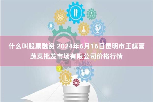 什么叫股票融资 2024年6月16日昆明市王旗营蔬菜批发市场有限公司价格行情