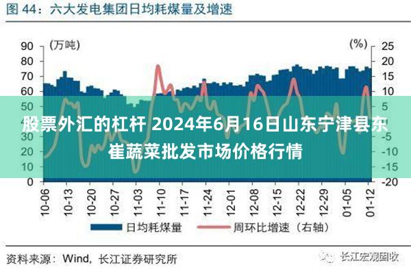 股票外汇的杠杆 2024年6月16日山东宁津县东崔蔬菜批发市场价格行情