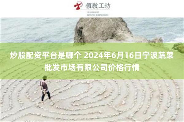 炒股配资平台是哪个 2024年6月16日宁波蔬菜批发市场有限公司价格行情