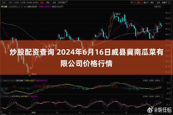 炒股配资查询 2024年6月16日威县冀南瓜菜有限公司价格行情