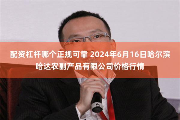 配资杠杆哪个正规可靠 2024年6月16日哈尔滨哈达农副产品有限公司价格行情