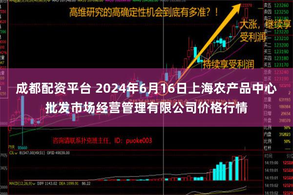 成都配资平台 2024年6月16日上海农产品中心批发市场经营管理有限公司价格行情