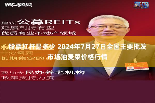 股票杠杆是多少 2024年7月27日全国主要批发市场油麦菜价格行情