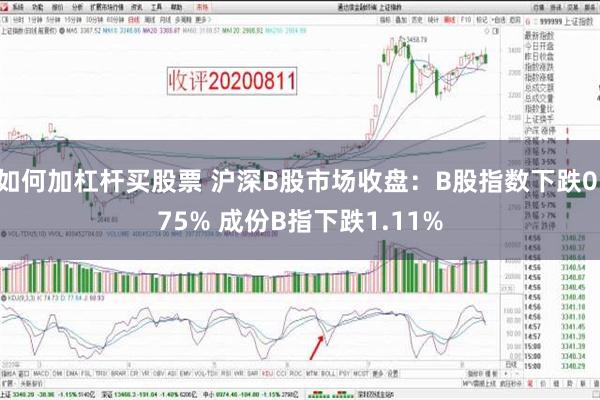 如何加杠杆买股票 沪深B股市场收盘：B股指数下跌0.75% 成份B指下跌1.11%