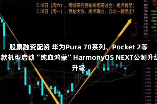 股票融资配资 华为Pura 70系列、Pocket 2等8款机型启动“纯血鸿蒙”HarmonyOS NEXT公测升级