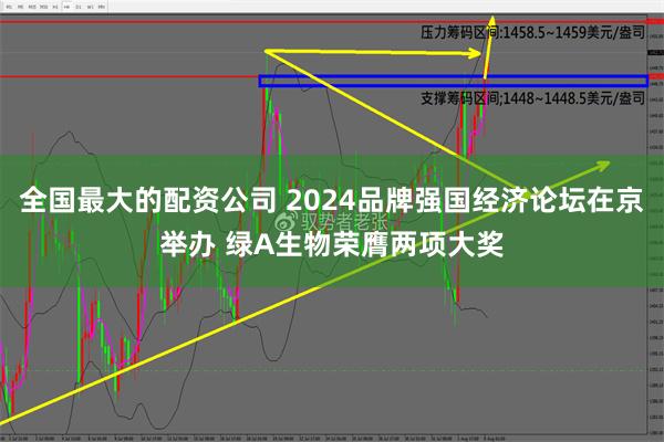 全国最大的配资公司 2024品牌强国经济论坛在京举办 绿A生物荣膺两项大奖