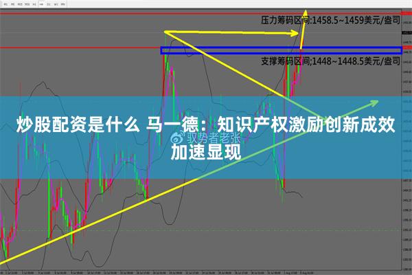 炒股配资是什么 马一德：知识产权激励创新成效加速显现