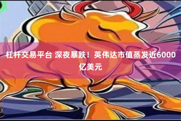 杠杆交易平台 深夜暴跌！英伟达市值蒸发近6000亿美元